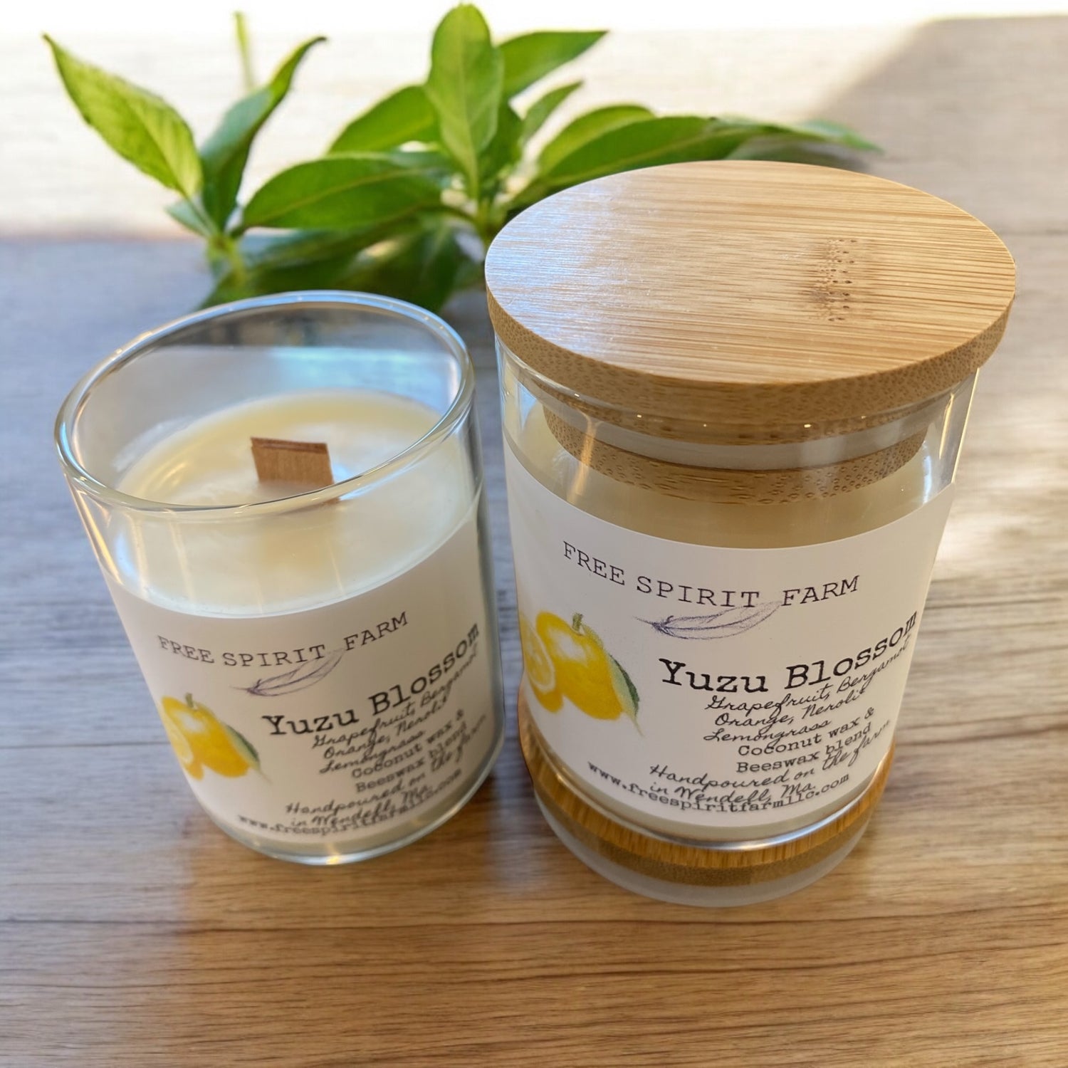 Coconut &amp; Beeswax Candle~Yuzu Blossom