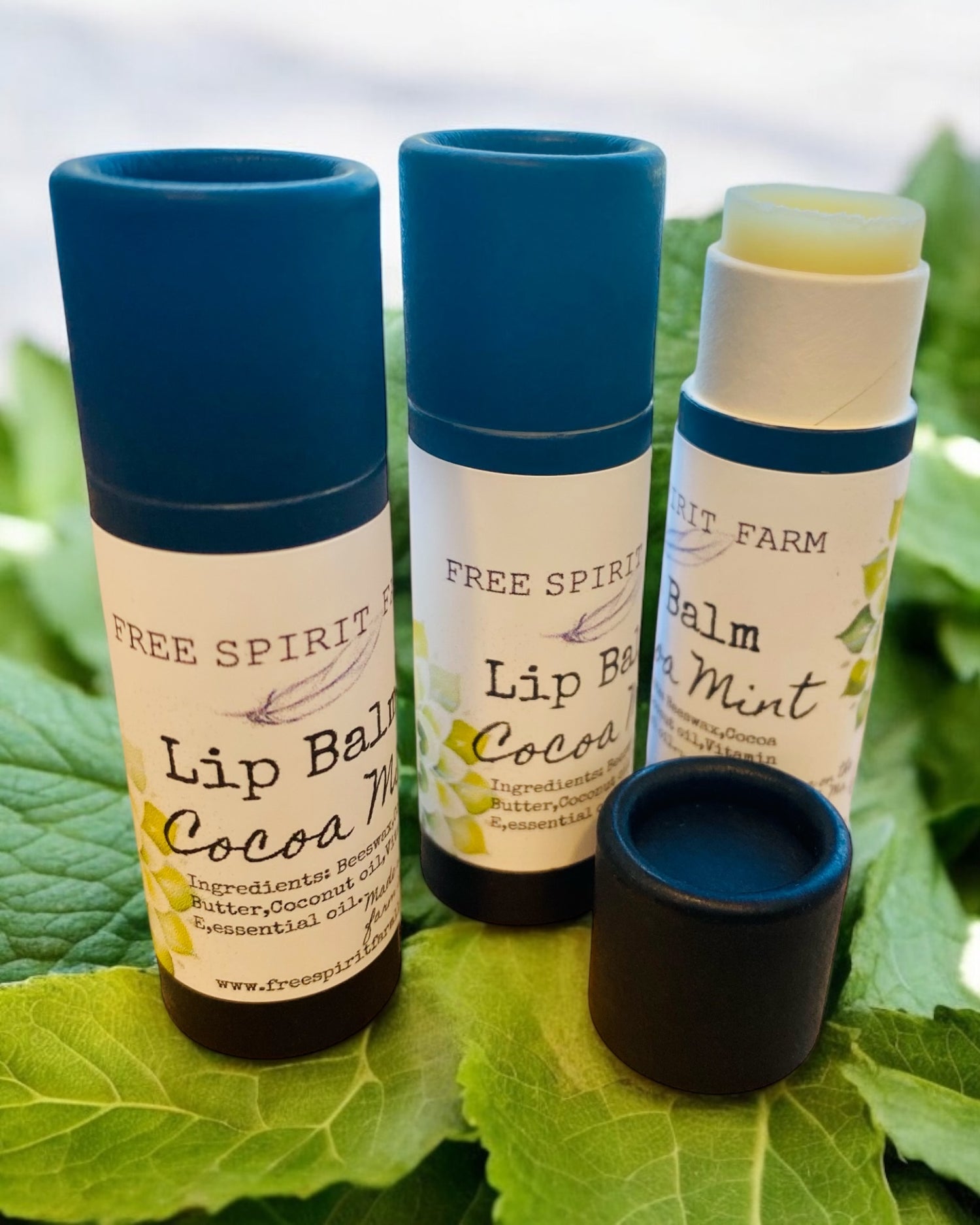 Lip Balm~Cocoa Mint