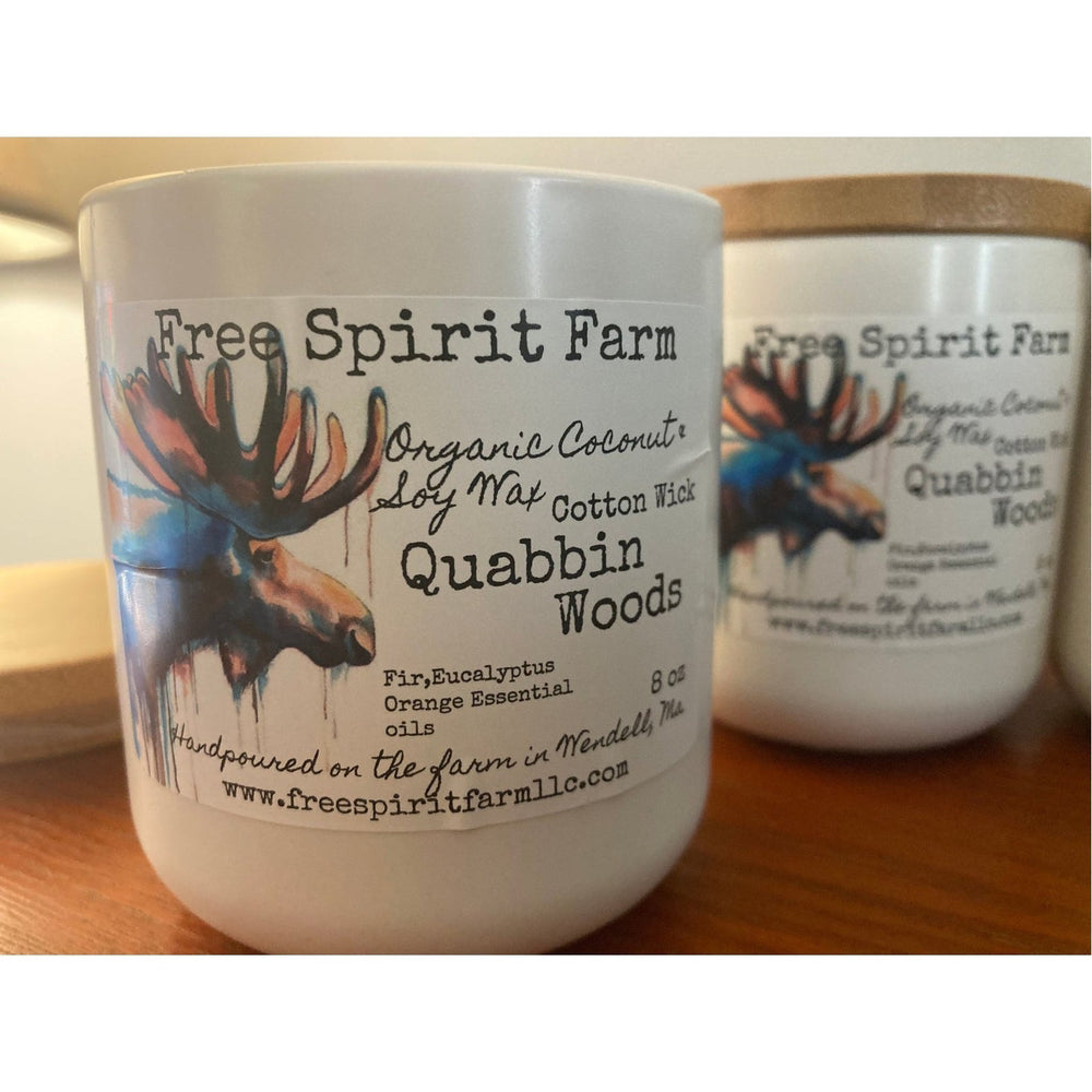 Ceramic Soy &amp; Coconut Candle~ Quabbin Woods