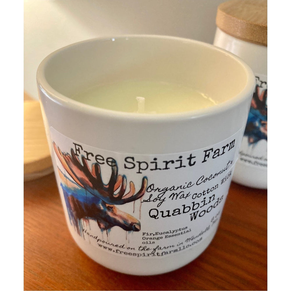 Ceramic Soy &amp; Coconut Candle~ Quabbin Woods