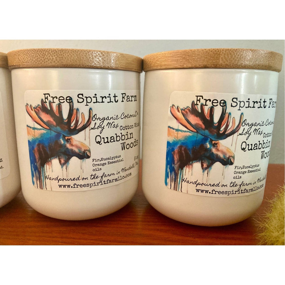 Ceramic Soy &amp; Coconut Candle~ Quabbin Woods